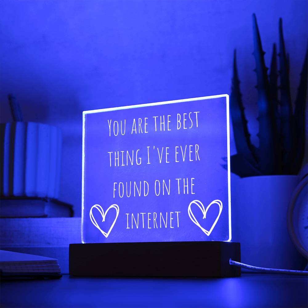 You Are The Best Thing I Have Ever Found On The Internet Acrylic